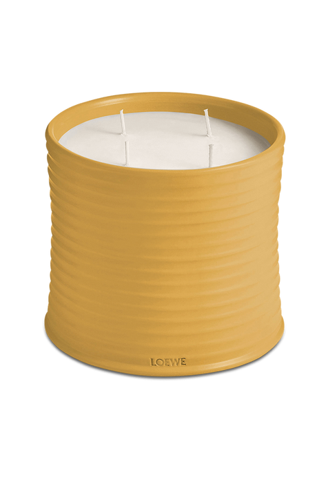 LOEWE Wasabi Large Scented Candle LOEWE PERFUMES