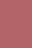 Sisley Phyto Lip Twist Mat 22 Burgundy