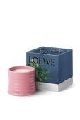 תמונה אחורית של LOEWE Ivy Small Scented Candle