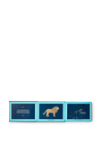 תמונת תקריב של Animals in The Sky