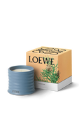 תמונה אחורית של LOEWE Cypress Small Scented Candle