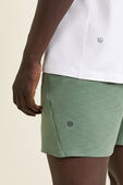 תמונת תקריב דוגמן של Balancer Short 6