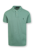 תמונה קידמית של Knit Sleeve Cotton Polo Shirt in Green