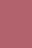 Sisley Phyto Lip Twist Mat 21 Ruby