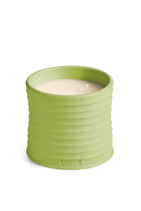 LOEWE Cucumber Medium Scented Candle LOEWE PERFUMES