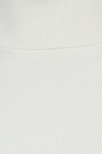 תמונה אחורית של Joseph Roll Neck Silk Stretch in Ivory