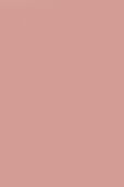 Sisley Phyto Lip Twist Mat 19 Ballet