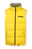 תמונה אחורית של Reversible Vest in Yellow and Green