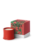 תמונה אחורית של LOEWE Tomato Leaves Small Scented Candle