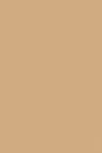 Sisley Phyto Teint Nude 4W Cinnamon