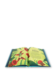 תמונת תקריב של Book of Flight - גילאי 5-8