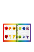 תמונה אחורית של Rainbows in Bloom