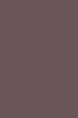 Sisley Phyto Ombres Mat Cocoa 21