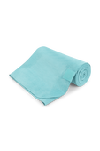 תמונה קידמית של The Towel