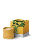 תמונה אחורית של LOEWE Wasabi Small Scented Candle