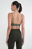 תמונת דוגמן אחורית של License to Train Triangle Bra, A/B