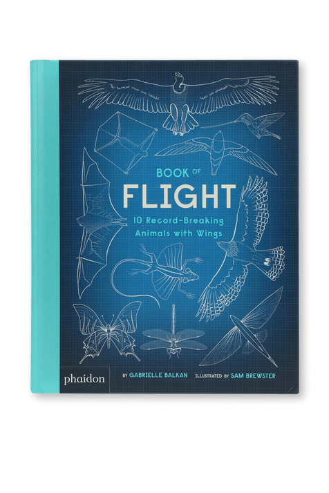 Book of Flight - גילאי 5-8 PHAIDON