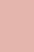 Sisley Phyto Lip Twist 11 Litchi
