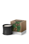 תמונה אחורית של LOEWE Roasted Hazelnut Medium Scented Candle
