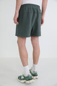 תמונת דוגמן אחורית של Steady State Short 5