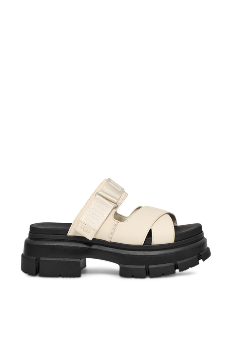כפכפי אשטון UGG