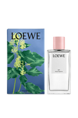 תמונה אחורית של Ivy Home Fragrance 150 ml