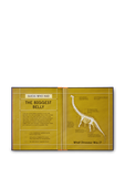 תמונת פנים של Book of Dinosaurs