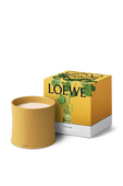 תמונה אחורית של LOEWE Wasabi Large Scented Candle