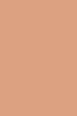 Sisley L'Orchidee Highlighter Blush