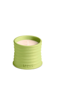 תמונה קידמית של LOEWE Cucumber Small Scented Candle