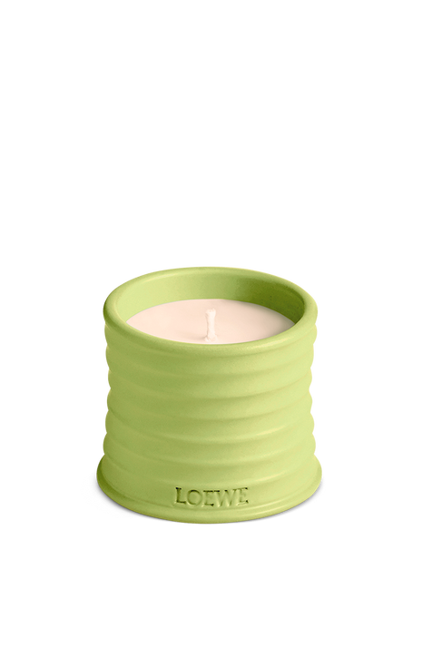 LOEWE Cucumber Small Scented Candle LOEWE PERFUMES