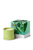 תמונה אחורית של LOEWE Cucumber Small Scented Candle