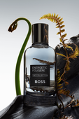 תמונת אווירה של Energetic Fougre Eau de Parfum 100ML