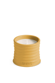 תמונה קידמית של LOEWE Wasabi Small Scented Candle