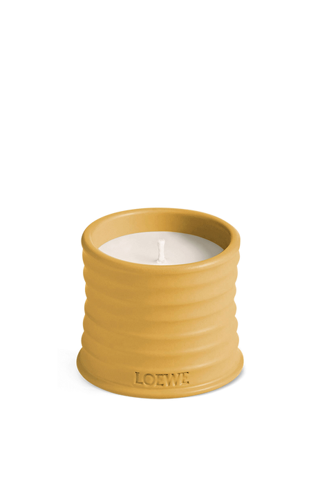 LOEWE Wasabi Small Scented Candle LOEWE PERFUMES