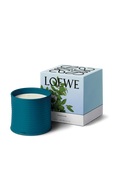 תמונה אחורית של Incense Large Scented Candle 2120 gr