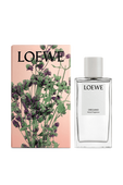 תמונה אחורית של Oregano Home Fragrance 150 ml