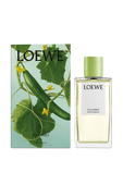 תמונה אחורית של Cucumber Home Fragrance 150 ml