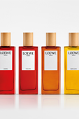 LOEWE Solo Vulcan Eau de Parfum 100 ml