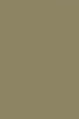 Sisley Phyto Ombres Metallic Khaki 25