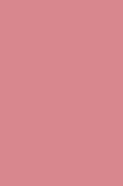 Sisley Phyto Blush Twist 2 Fuchsia