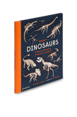 תמונה קידמית של Book of Dinosaurs