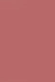Sisley Le Phyto Blush 5 Rosewood