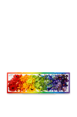 תמונת תקריב של Rainbows in Bloom