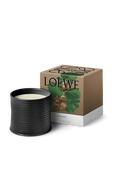 תמונה אחורית של LOEWE Roasted Hazelnut Large Scented Candle