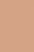 Sisley Phyto Teint Nude 3C Natural