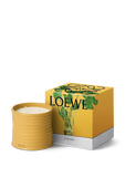 תמונה אחורית של LOEWE Wasabi Medium Scented Candle