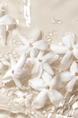תמונה אחורית של Prive Blanc Kogane Eau de Parfum 100 ml