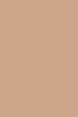 Sisley Phyto Teint Nude 4C Honey