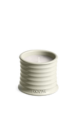 תמונה קידמית של LOEWE Mushroom Small Scented Candle